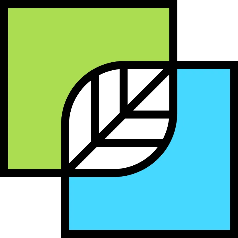 SYE — Environnement local