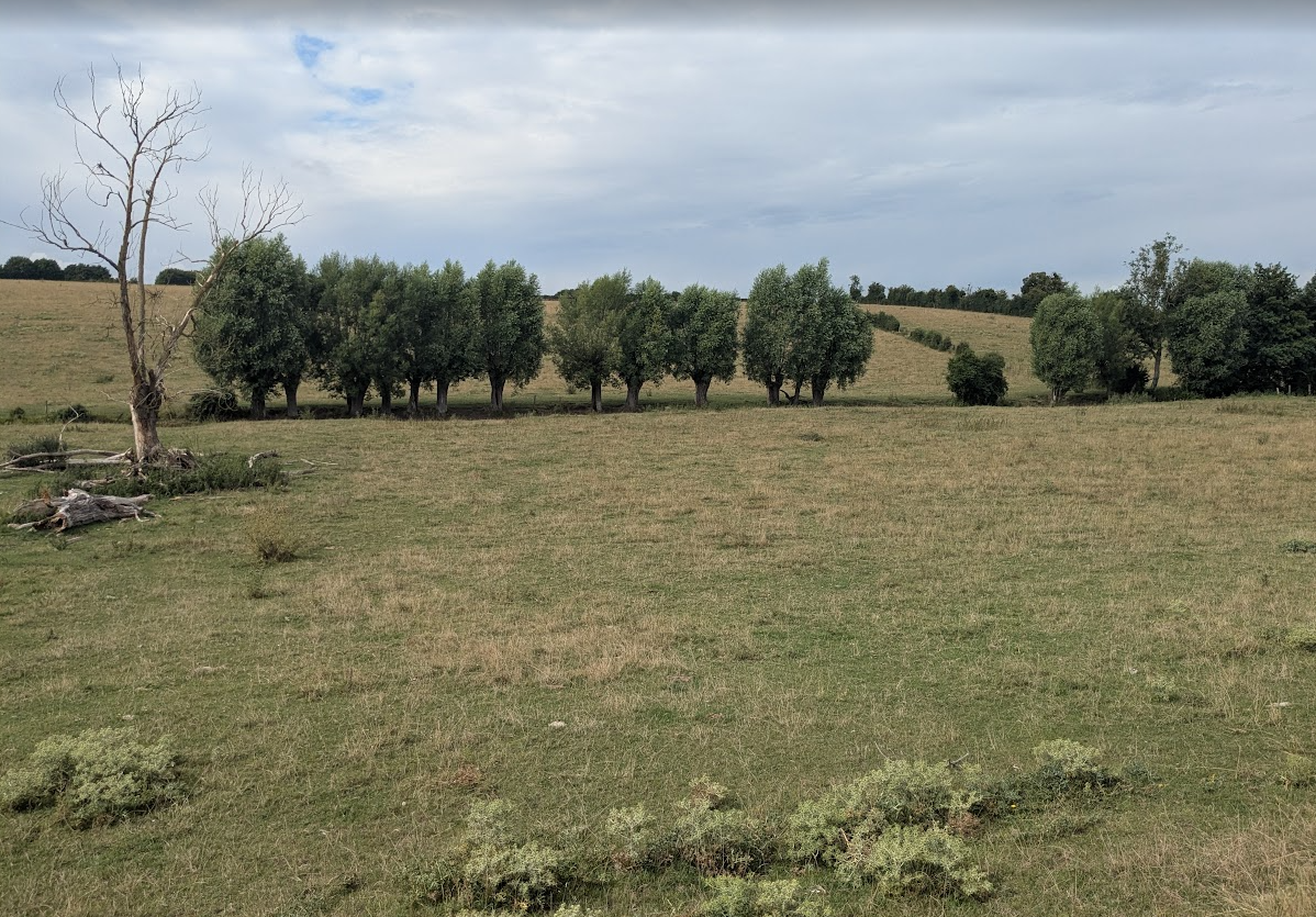Colline et prairie du Cœur Vert